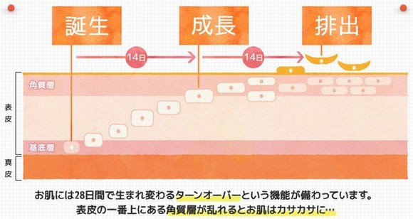 �L���C�E�f�E�{�[�e �v���Z���^�W�����̔��T�C�g��