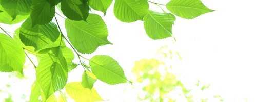 �L���C�E�f�E�{�[�e �v���Z���^�W�����̔��T�C�g��